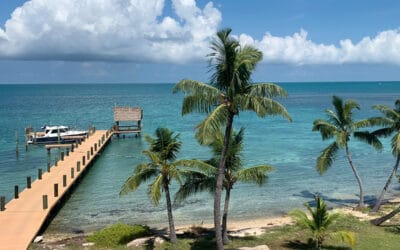 Top 4 Reasons to Visit Pigeon Key