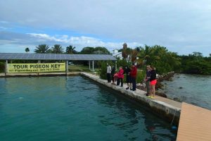 Racing ROV's in the saltwater pool