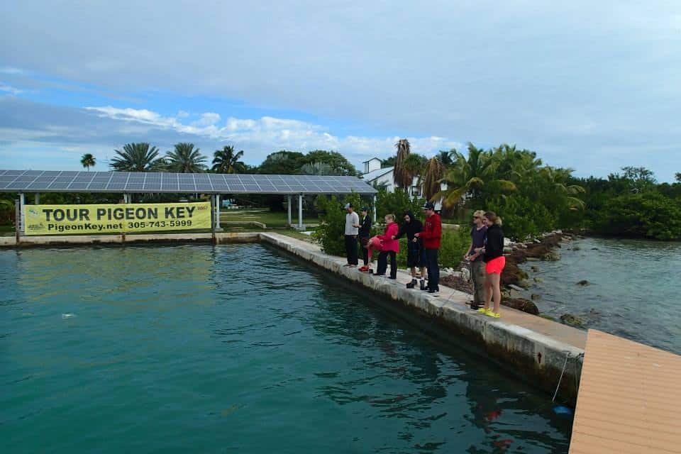 Racing ROV's in the saltwater pool