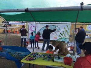 2015 Art Festival 3-20