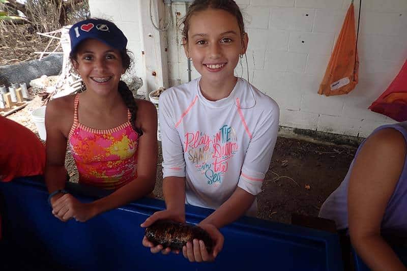 2017 Featured Creature 5-2