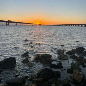 Nocturnal Tide pooling