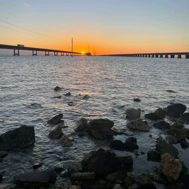 Nocturnal Tide pooling
