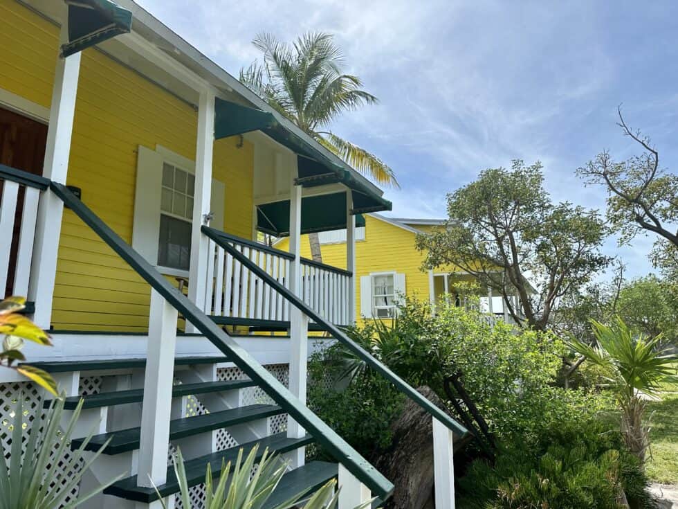 HELLO YELLOW! 6 hello yellow