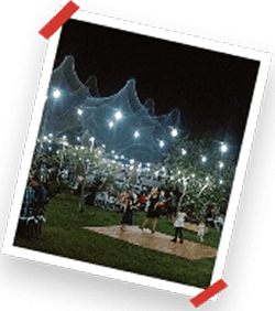 Home 16 Group 42 3 1